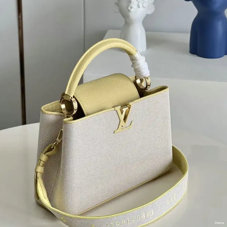 2207YA0088 Bag LV 0810